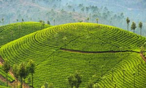 Kerala Tour Packages From Chennai